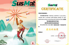 南华大学毕磊团队研发质子导体固体氧化物燃料电池新型阴极材料