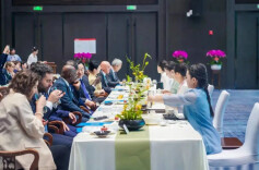 2023年“国际茶日”中国主场活动 君山银针“金镶玉” 惊艳世界