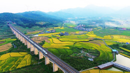 良田镇：绿色建材兴小镇  文旅融合富百姓