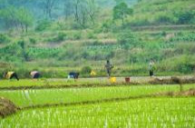 聚焦工程项目建设 洪江区靶向监督护航乡村振兴