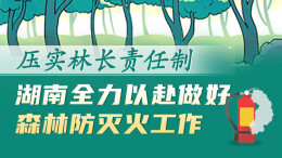 政策简读丨压实林长责任制 湖南全力以赴做好森林防灭火工作