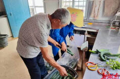 瓜果飘香迎丰收