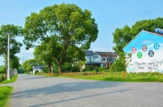 鹤城区严监督促善治——改善人居环境不力者，问责