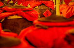 【天人共酿馥郁香】一场原粮尽润的邂逅