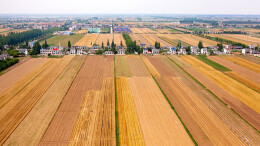 良心堡镇：特色产业振乡野 洞庭福地农旅兴