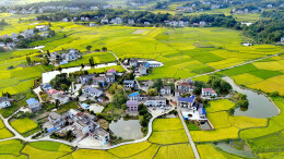 泉塘镇：振兴活水润田野 “泉塘”涌出幸福泉