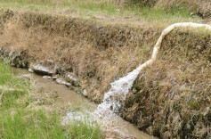 溆浦│监督解难题  稻田解了“渴”