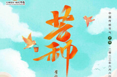 今日芒种，愿你忙有所得