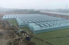 江华：草莓棚里种果蔬 全年丰收奔富路