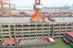 水位回升 物流趋旺 铜官港多项指标创新高