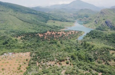 江华沱江镇大鹿冲村：杨梅丰收 乐享“梅”好