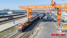 “怀味”出海 ——怀化国际陆港服务农产品跨山越海拓展东盟市场