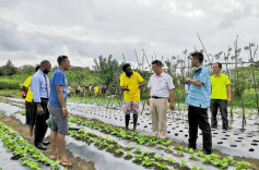 院士走进“一带一路”④丨湖南辣椒“红”遍“一带一路”——“辣椒院士”邹学校团队推广辣椒产业“出海”