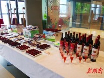 湖南靖州杨梅搭“冷链专线” 32小时直达香港