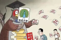 这些都是野鸡大学，报了等于白读！附名单