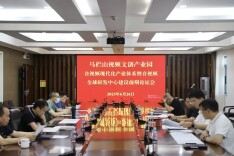 马栏山视频文创园召开音视频现代化产业体系暨全球研发中心建设前期论证会议