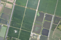 耕地保护态势持续向好，耕地数量连续两年实现“进大于出”——坚守耕地红线 丰实三湘粮仓