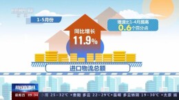 总额延续恢复态势 今年前五个月物流运行数据来啦→