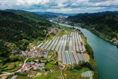 新晃：以正风反腐新成效护航乡村振兴