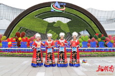 中非湘约，馥郁同行 | 中非经贸深度合作高端研讨会在长沙成功举办