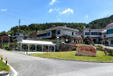 湖南新邵：幸福屋场促振兴 和美乡村入画来