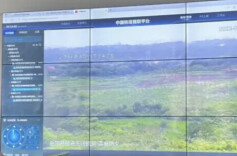 林长“治林”成效明显 岳阳县受国务院激励表彰