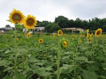 乡村振兴看湘潭丨红基绿韵泉塘村