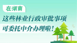 政策简读丨在湖南 这些林业行政审批事项可委托中介办理啦！