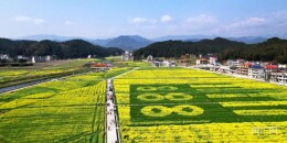 湖南超级稻百亩攻关示范片刷新高产纪录