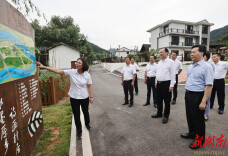 毛伟明在新晃调研：奋力绘就农业兴农村美农民富的秀美画卷