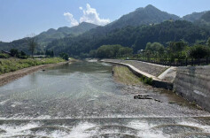 溆浦县：绘就“水美湘村”绿色画卷