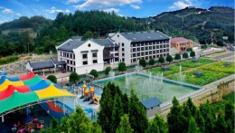 湖南岩口镇向家村：共同富裕奔向新时代