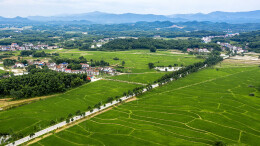 坦渡镇：产业融融助发展 诗画沐浴新乡风