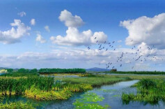 湖南省财政厅解读《湖南省人民政府办公厅关于深化生态保护补偿制度改革的实施意见》