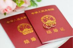 民政部：上半年全国累计“跨省”办理婚姻登记14.2万对