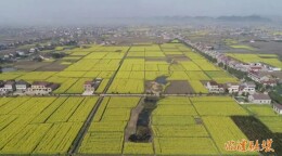 常德临澧：“真金白银”壮大村级集体经济