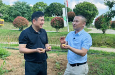 社长带你看食材|樟树港不仅有辣椒，还有土豆