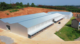 常德津市：“冰箱”建在藠果地旁