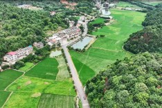 湖南衡阳二雨公路：打造“道宽、路美、政兴、人和”的最美农村路