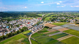 红绿相映银田镇