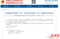 精飞智能入选2023国家级专精特新“小巨人”