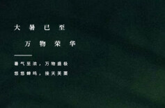 大暑特辑┃万物皆繁茂 我爱夏日长