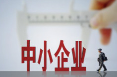 营造良好发展环境 增强专精特新中小企业活力