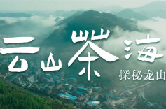 五彩湘茶茶研学 · 龙山篇｜云山茶海 探秘龙山