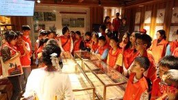 中医药文化服务月：“零距离”感受中医药文化魅力