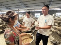 江永：“鸽”声嘹亮 “啄”开山乡致富门