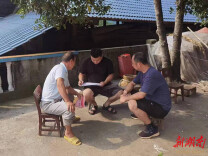 同题共答，洪江市沅河镇纪巡联动一体推进“三湘护农”