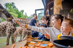 景区核心卖点在哪|金洲集团董事长俞锦方谈旅游目的地竞争策略