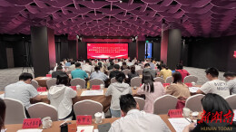 岳阳召开青年发展型城市建设工作推进会