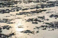 蓬头垢面在人间